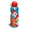 Paw Patrol Guys aliuminio buteliukas 500 ml
