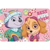 Paw Patrol kilimėlis 43*28 cm
