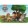 Paw Patrol kilimėlis 43x28 cm