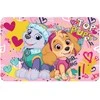 Paw Patrol kilimėlis 43x28 cm