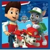 Paw Patrol Magic Hand Rankšluostis veido rankšluostis, 30x30cm