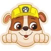 Paw Patrol Rubble dekoratyvinė pagalvėlė 40x37 cm veliūras