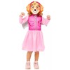 Paw Patrol Skye kostiumas 3-4 metams