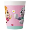 Paw Patrol Skye √©s Everest plastikinių puodelių 2 dalių rinkinys 230 ml