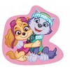 Paw Patrol Skye&Everest dekoratyvinė pagalvėlė 38x39 cm