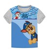 Paw Patrol Smile mėlyni, šypsenos pilki vaikiški marškinėliai, 4 metų