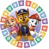 Paw Patrol spalvotos letenėlės popierinės lėkštutės, 8 vnt., 18 cm