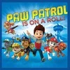 Paw Patrol stebuklingas rankšluostis veidui, rankšluostis, 30x30cm