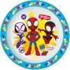 Paw Patrol Team Žmogus-voras Spidey mikroplokščia lėkštė 22 cm