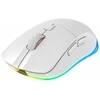 Cherry XTRFY M50 Baltas Belaidė pelė