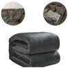 Pledas 1,6x2m - pilka Ruhhy 22695