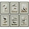 Plakatas Paveikslas Home ESPRIT Paukščiai Cottage 40 x 2,5 x 54 cm (6 vnt.)