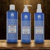 Valquer Ice Hair Mask Color And Shine plaukų kaukė, 300 ml