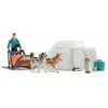 Figūrėlė Schleich Schleich laukinės gamtos Antarkties ekspedicija, žaislinė figūrėlė
