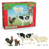 SCHLEICH FARM WORLD Pradinis Rinkinys