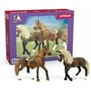 SCHLEICH HORSE CLUB Horse Club Pradinis Rinkinys