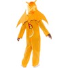 Boland Traciks Pokemon Charizard kostiumai