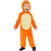 Boland Traciks Pokemon Charmander kostiumas