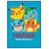 Nintendo Pokemon polar blanket