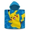 Kids Licensing Pokemonų pončai