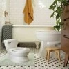INGENUITY My Size Potty Pro, Baltas