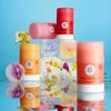 Roger & Gallet Gingembre Rouge Dezodorantas Stick 24H piešutkinis dezodorantas, 50 g