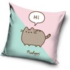 Pusheen pagalvėlės užvalkalas 40*40 cm