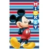 Rankšluostis Disney Mickey set 2 cotton bath towels