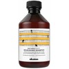 Davines Natural Tech Purifying Šampūnas, 250 ml