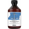 Davines Natural Tech Rebalancing Šampūnas, 250 ml