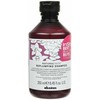Davines Naturaltech Replumping Šampūnas szampon do włosów cienkich 250ml