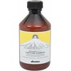 Davines Natural Tech Purifying Šampūnas, 250 ml