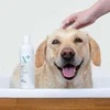 Vetexpert VET EXPERT HYPO ALLERGENIC šampūnas 250ml