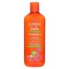 Cantu Guava y Ginger Scalp Relief Šampūnas, 400 ml