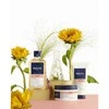 Phyto Paris "Phyto Colour" šampūnas 250ml