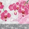 Servetėlės „Gėlės romantiškos orchidėjos“, 20 vnt., 33x33 cm