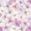 Servetėlės „Gėlės rožinės spalvos hortenzijos“ 20 vnt. 33x33 cm