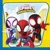 GoDan Spidey ir jo nuostabios popierinės servetėlės... 33x33cm