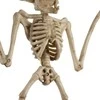 Šikšnosparnio skeletas - dekoracija 30 cm Malatec
