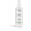 Christophe Robin Hydrating Leave-In Mist 150 ml