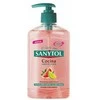 "Sanytol" virtuvinis rankų muilas 250ml