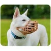 Baskerville Snukis Company of Animals Ruda 4