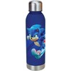 Sonic The Hedgehog Ežiuko Soniko gertuvė, 750 ml