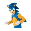 Sonic the Hedgehog klasikinis rubinų kostiumas
