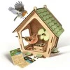 Spalvotas ornitologas, Clementoni paukščių namelių gamybos rinkinys