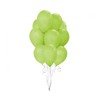 GoDan BALON PREMIUM PISTACJA 10 GO OP10SZT