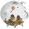 Piggy bank - glass piggy Ruhhy 22588