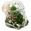 Gertuvė Thumbs Up Original Stormtrooper Terrarium &amp; Cookie Jar