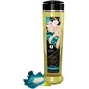 Shunga Massage Oil Sensual 240