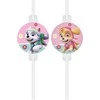Globos Europe Bv Popieriniai vamzdeliai su Paw Patrol medalionu 4vnt